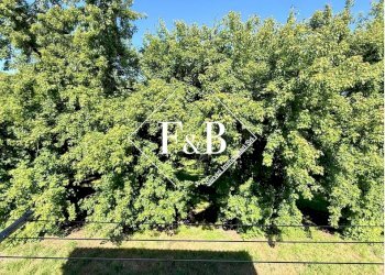 Villa Strada Valmanera, Asti - foto 32