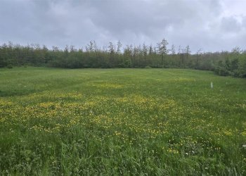 Rustico Montese - foto 17