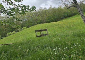 Rustico Montese - foto 21