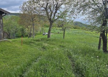 Rustico Montese - foto 22