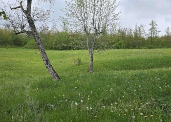 Rustico Montese - foto 23