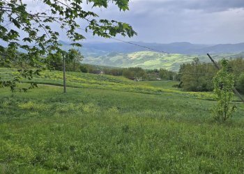 Rustico Montese - foto 28