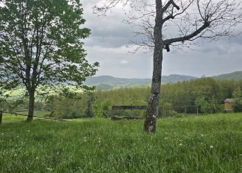 Rustico Montese - foto 31