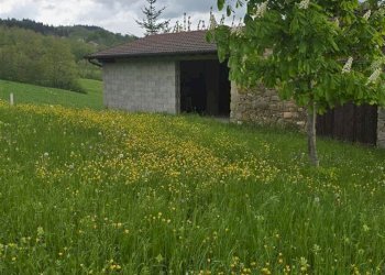 Rustico Montese - foto 32