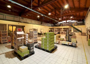 Capannone Via Circonvallazione, 32, Rossana - foto 9