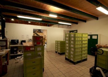 Capannone Via Circonvallazione, 32, Rossana - foto 12