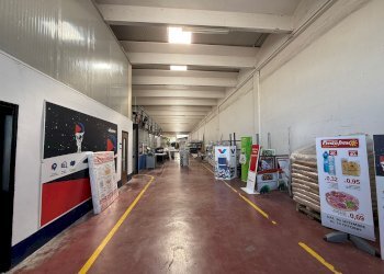 Capannone strada Statale, 15, Beinette - foto 18