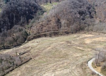 Agricultural land Via Collina, 13, Manta - photo 8