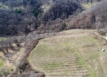 Agricultural land Via Collina, 13, Manta - photo 9