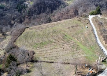 Agricultural land Via Collina, 13, Manta - photo 11