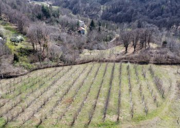 Agricultural land Via Collina, 13, Manta - photo 16