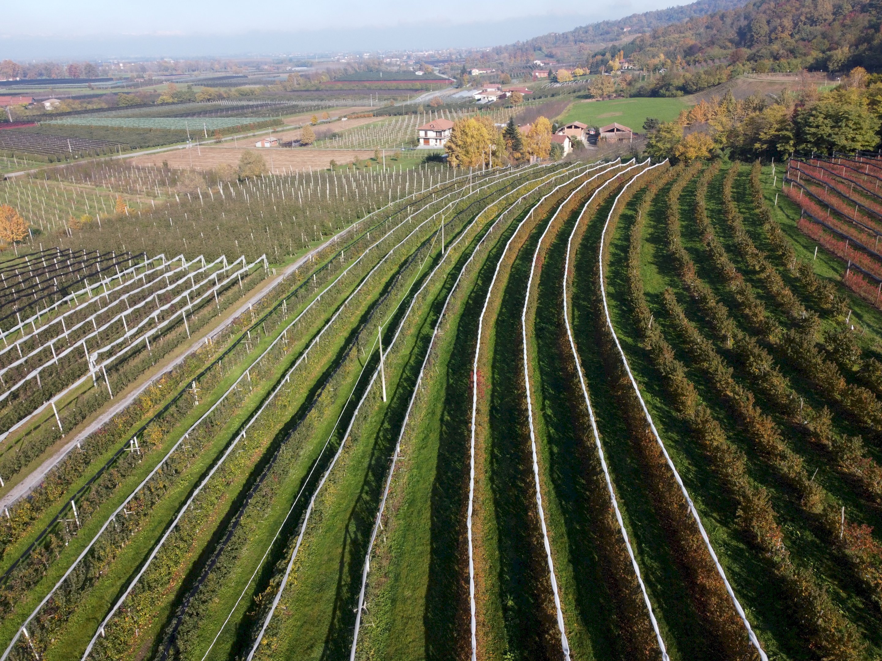 Agricultural land Via Pagno, 153, Saluzzo - photo 3