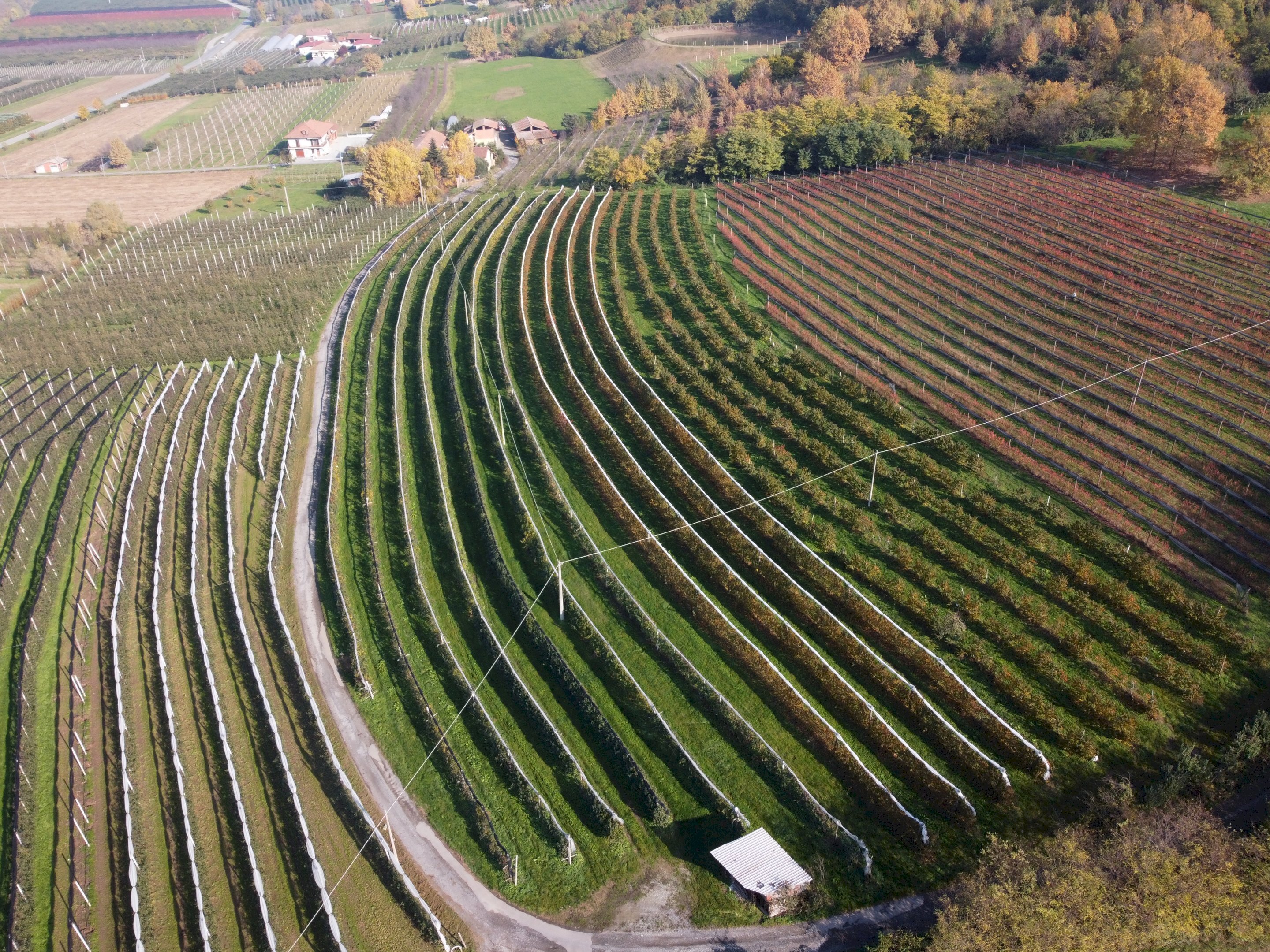 Agricultural land Via Pagno, 153, Saluzzo - photo 1