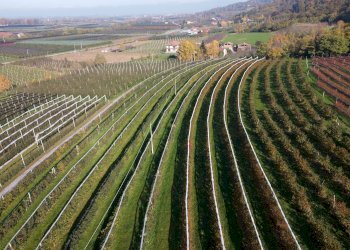 Agricultural land Via Pagno, 153, Saluzzo - photo 3