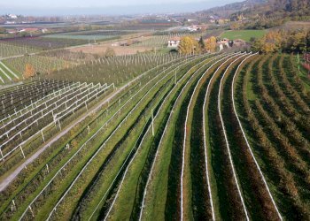 Agricultural land Via Pagno, 153, Saluzzo - photo 4