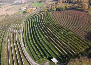 Agricultural land Via Pagno, 153, Saluzzo - photo 1