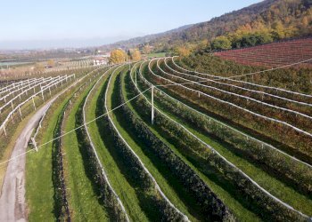 Agricultural land Via Pagno, 153, Saluzzo - photo 6