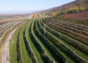 Agricultural land Via Pagno, 153, Saluzzo - photo 7