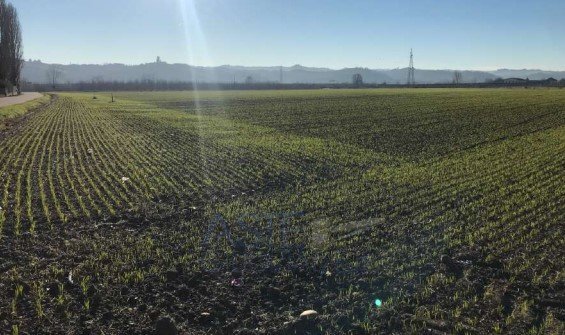 Building land via Ortolano, Snc, Castagnito - photo 3
