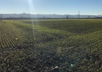 Terreno edificabile via Ortolano, Snc, Castagnito - foto 3