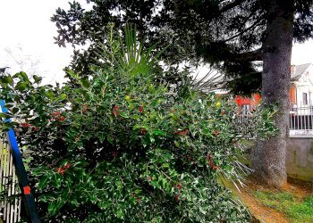 Appartamento Viale XXV aprile 10, Rosta (TO), Rosta - foto 39