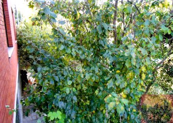 Appartamento Viale XXV aprile 10, Rosta (TO), Rosta - foto 63