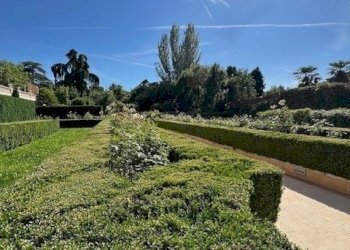 Attico Modena - foto 9