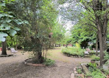 Porzione di casa Ravarino - foto 2