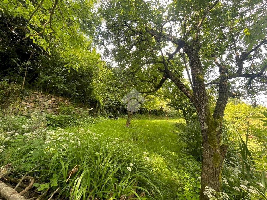 Terreno agricolo Via Piccarello, Sant'Olcese - foto 2