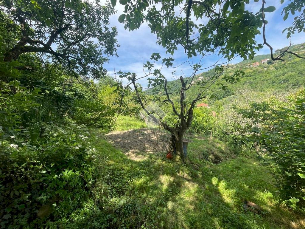 Terreno agricolo Via Piccarello, Sant'Olcese - foto 3