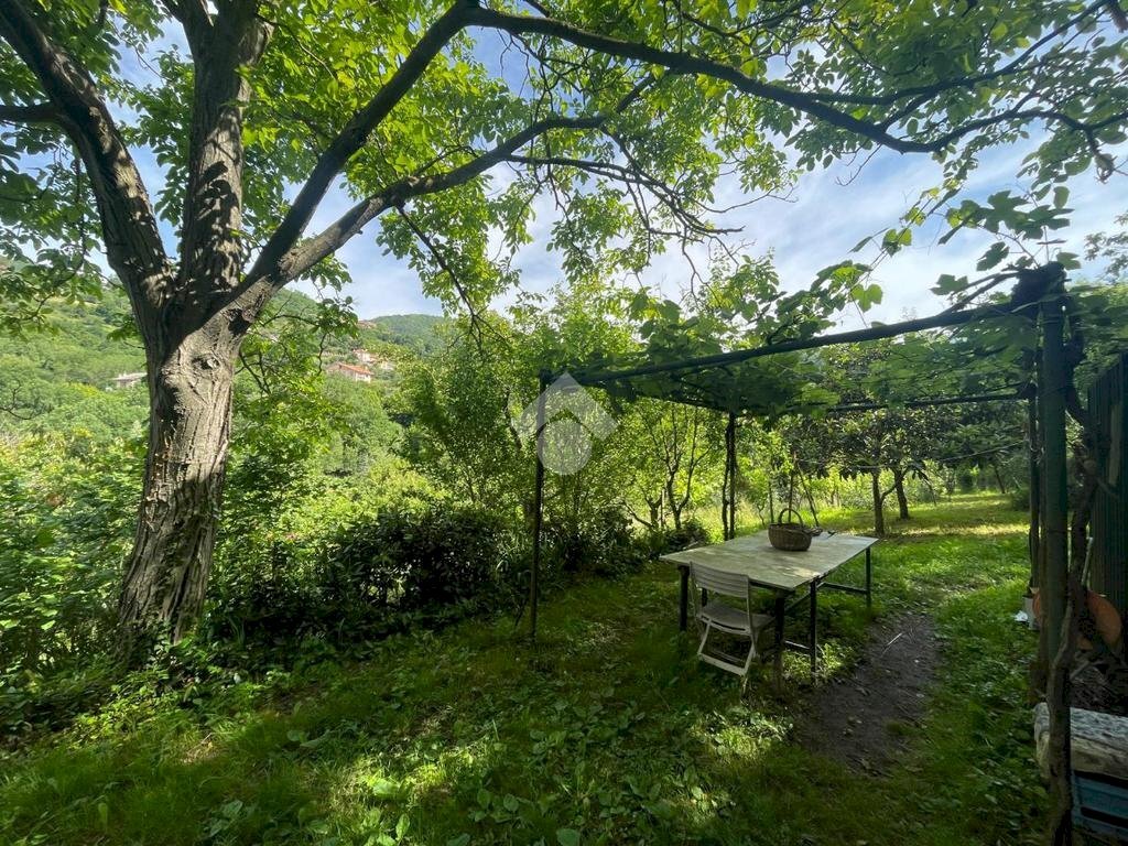 Terreno agricolo Via Piccarello, Sant'Olcese - foto 1