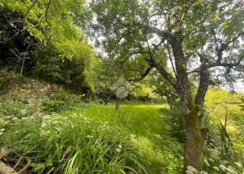 Terreno agricolo Via Piccarello, Sant'Olcese - foto 2