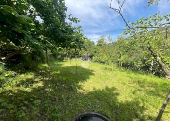 Terreno agricolo Via Piccarello, Sant'Olcese - foto 4