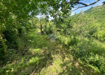 Terreno agricolo Via Piccarello, Sant'Olcese - foto 5