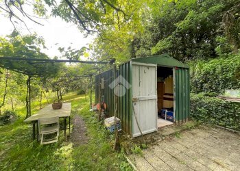 Terreno agricolo Via Piccarello, Sant'Olcese - foto 6