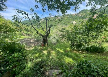 Terreno agricolo Via Piccarello, Sant'Olcese - foto 7