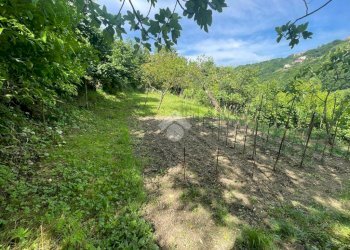 Terreno agricolo Via Piccarello, Sant'Olcese - foto 8