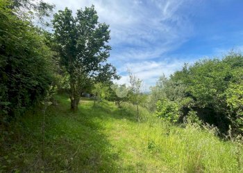 Terreno agricolo Via Piccarello, Sant'Olcese - foto 11