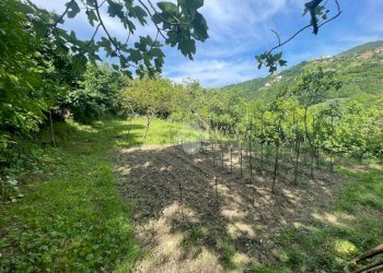 Terreno agricolo Via Piccarello, Sant'Olcese - foto 14