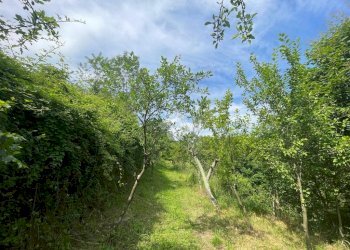 Terreno agricolo Via Piccarello, Sant'Olcese - foto 15