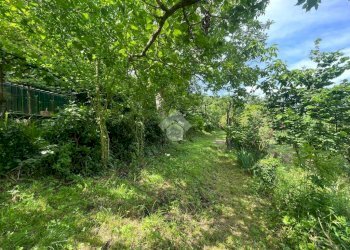 Terreno agricolo Via Piccarello, Sant'Olcese - foto 16