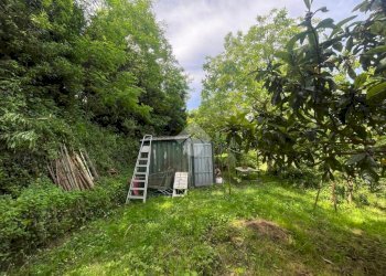 Terreno agricolo Via Piccarello, Sant'Olcese - foto 17