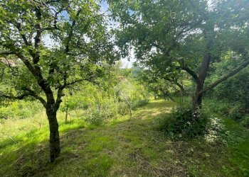 Terreno agricolo Via Piccarello, Sant'Olcese - foto 18