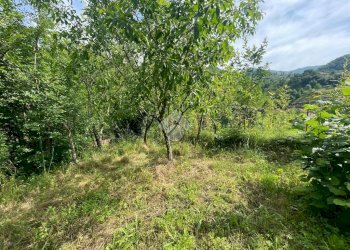 Terreno agricolo Via Piccarello, Sant'Olcese - foto 19