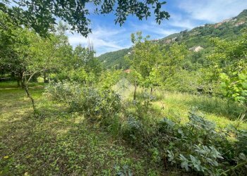 Terreno agricolo Via Piccarello, Sant'Olcese - foto 20