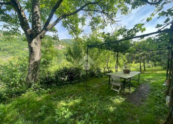 Terreno agricolo Via Piccarello, Sant'Olcese - foto 21