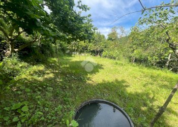 Terreno agricolo Via Piccarello, Sant'Olcese - foto 22