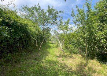 Terreno agricolo Via Piccarello, Sant'Olcese - foto 23