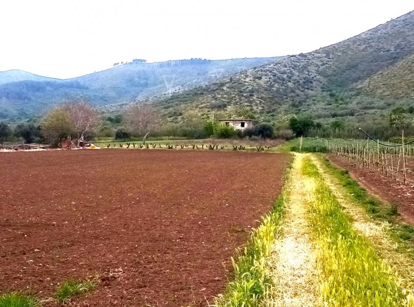 Terreno agricolo Mondragone - foto 1