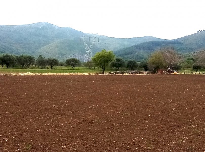 Terreno agricolo Mondragone - foto 2